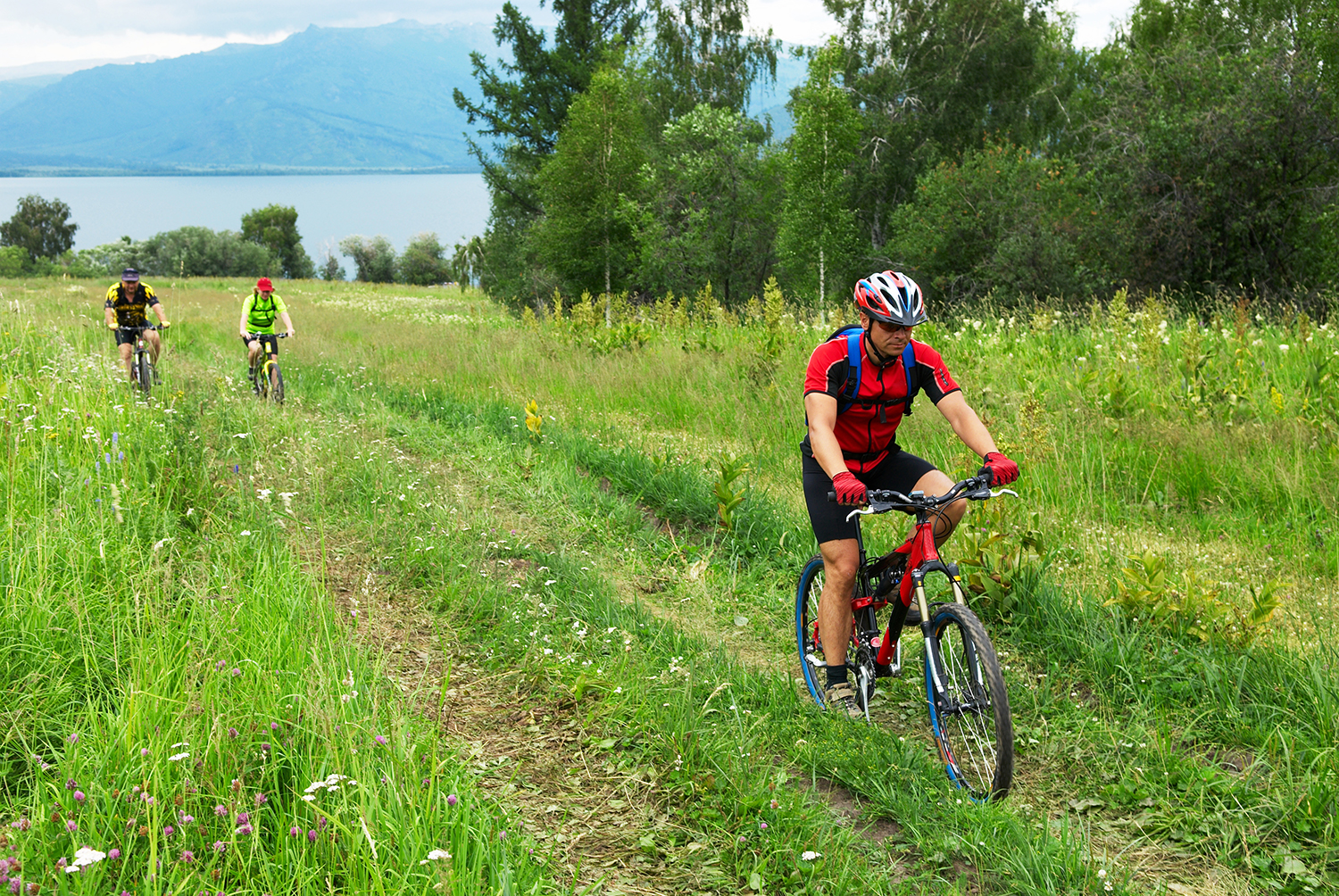 Cyklister på en marksti