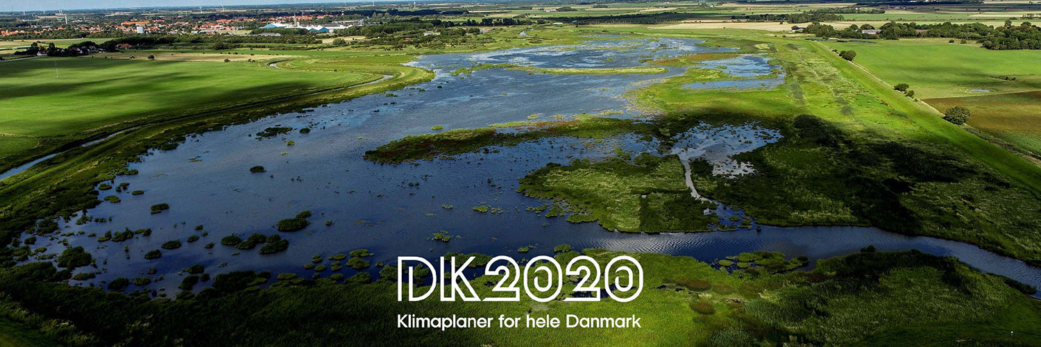 Dronebillede af marsken