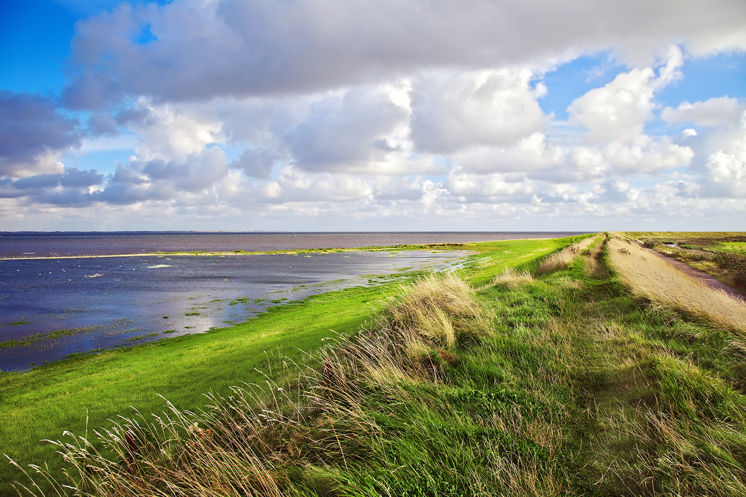 Vadehavet ved Rømø samt diget en sommerdag