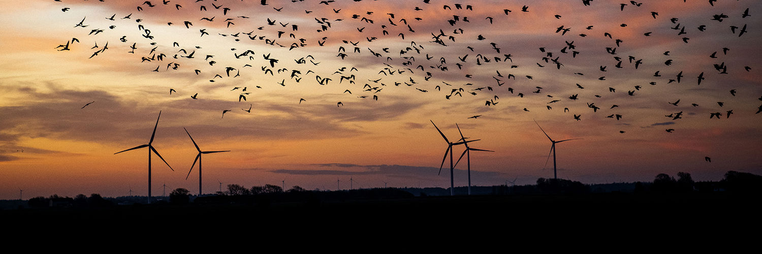 Flot solnedgang i forskellige nuancer af blå, rød og gul og derudover ses også sort sol og vindmøller i billedet